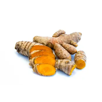 Fresh Turmeric Roots Wholesaler